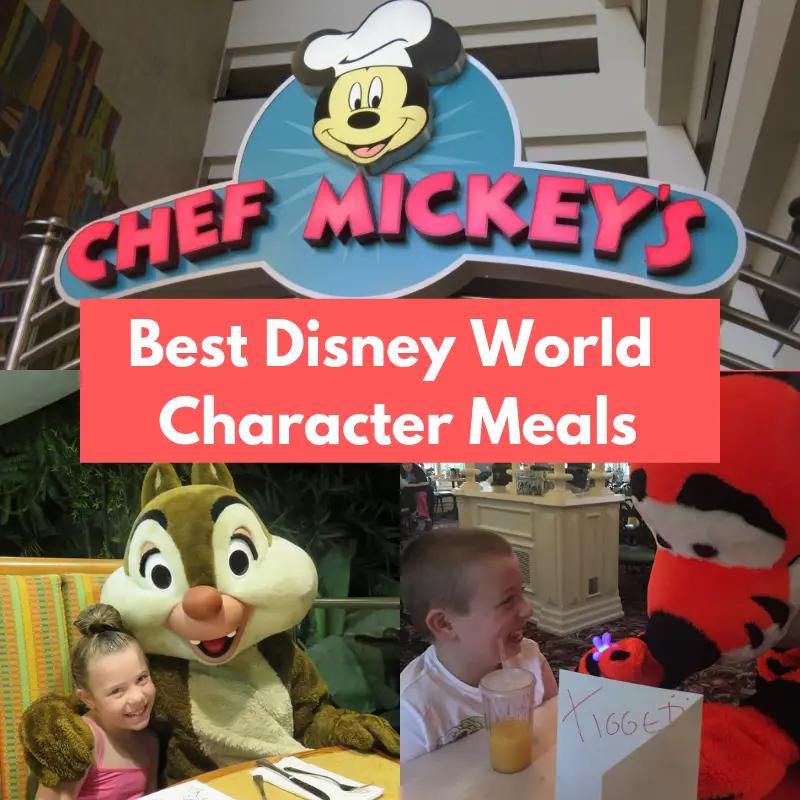 Best Disney World Character Meals