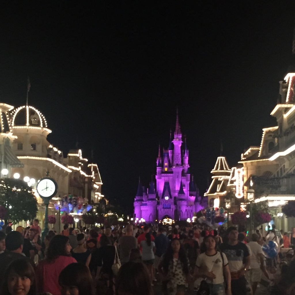 Things to skip at Disney World - the crowds