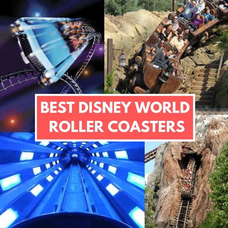 Best Disney World Roller Coasters