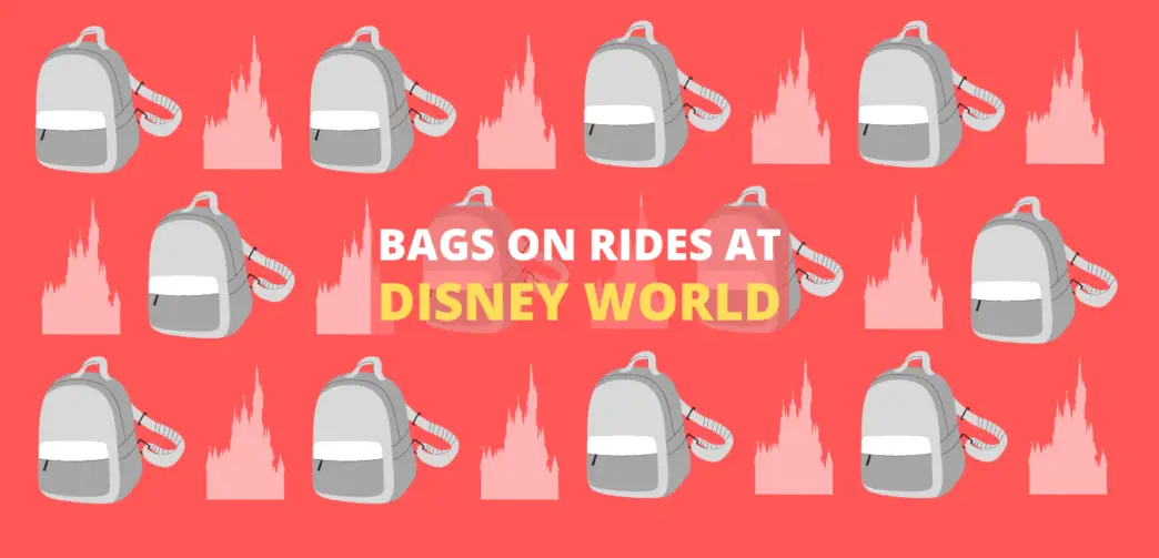 Bags on rides at Disney World
