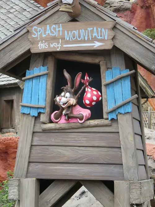 Can You Bring Bags on Water Rides at Disney World like Splash Mountain
