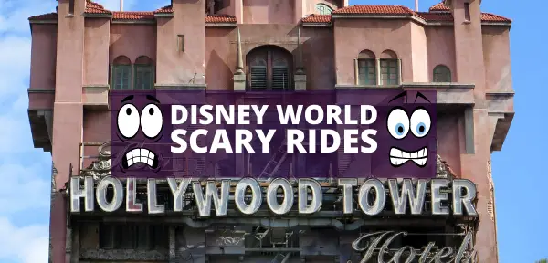 Scary Rides at Disney World