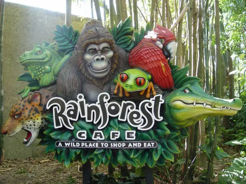 Rainforest Cafe - Where to eat at Animal Kingdom