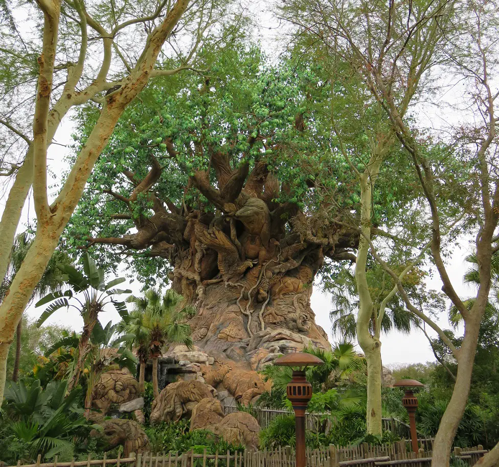 The Tree of Life at Animal Kingdom