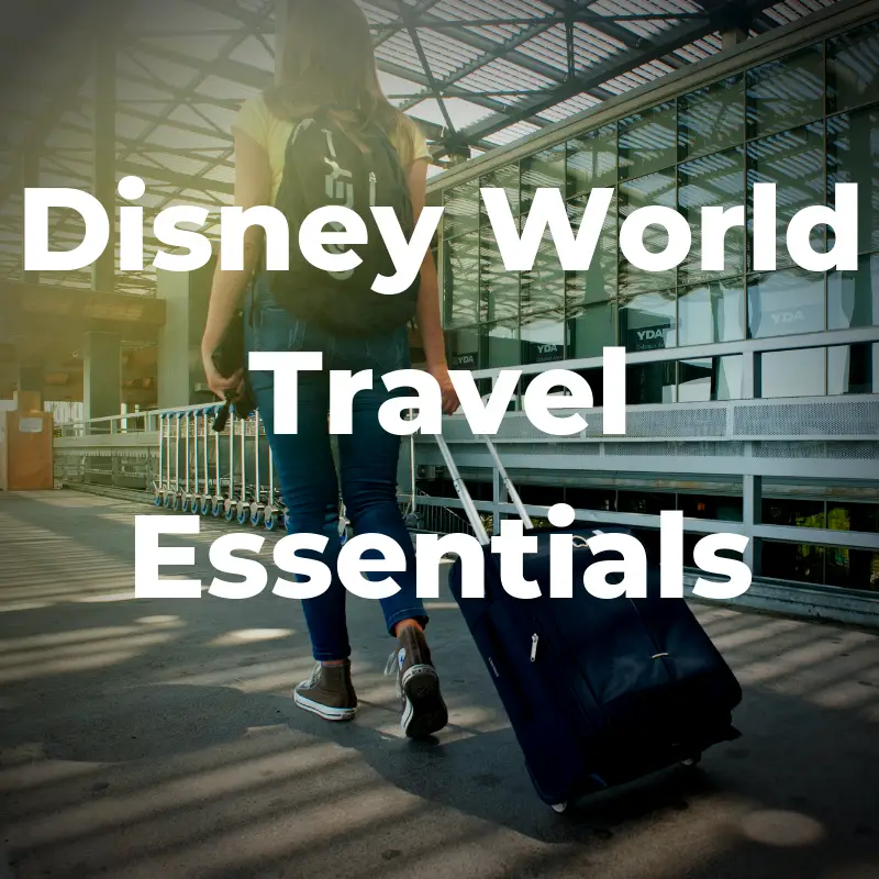 Disney World Travel Essentials