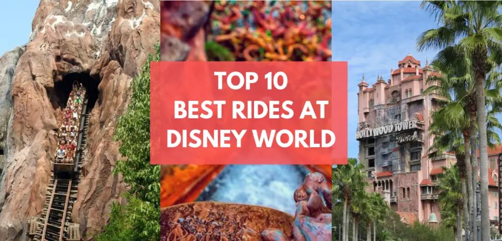 Top 10 Rides at Disney World