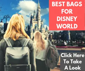 The best bags for Disney World if you can't do Disney World without a backpack