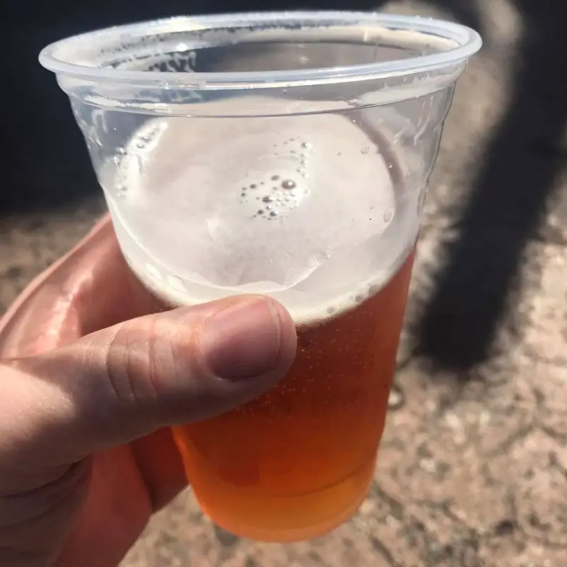 Drinking Alcohol at Disney World - Old Elephant Foot IPA