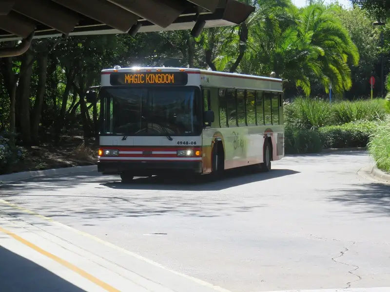 A Disney World Bus