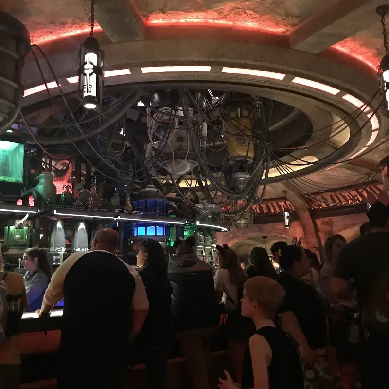 Our View from our seated area in Oga's Cantina