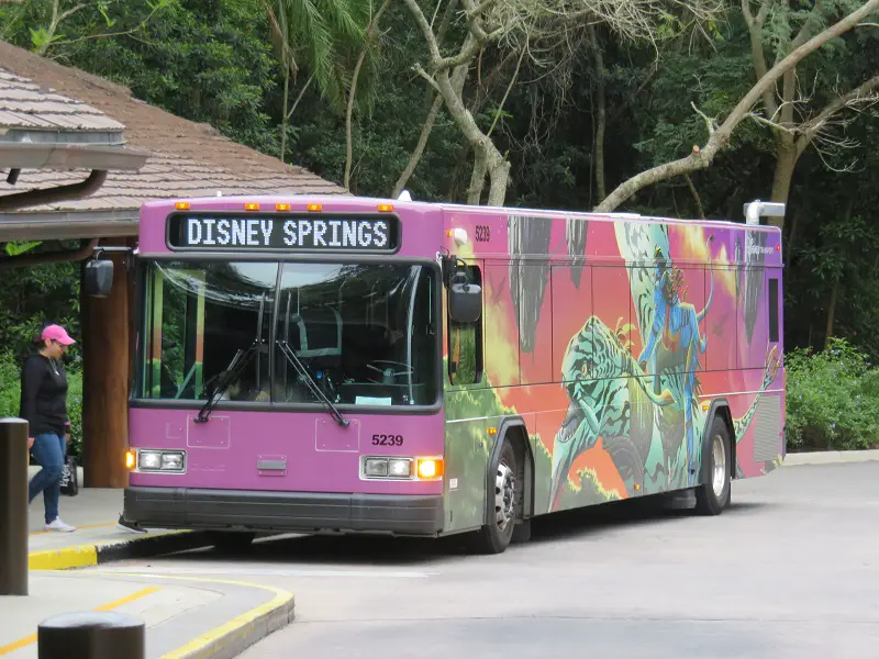 Disney World Bus