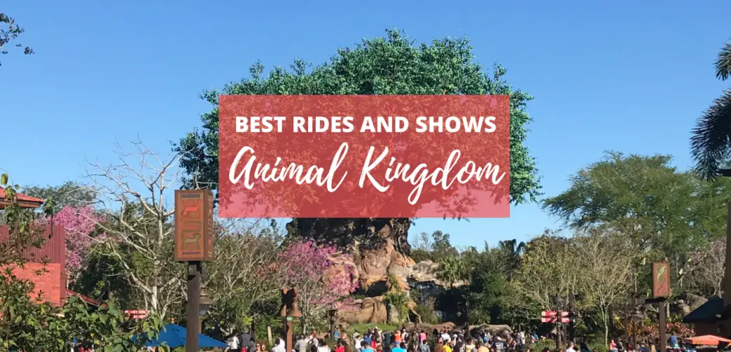 Best Animal Kingdom Rides