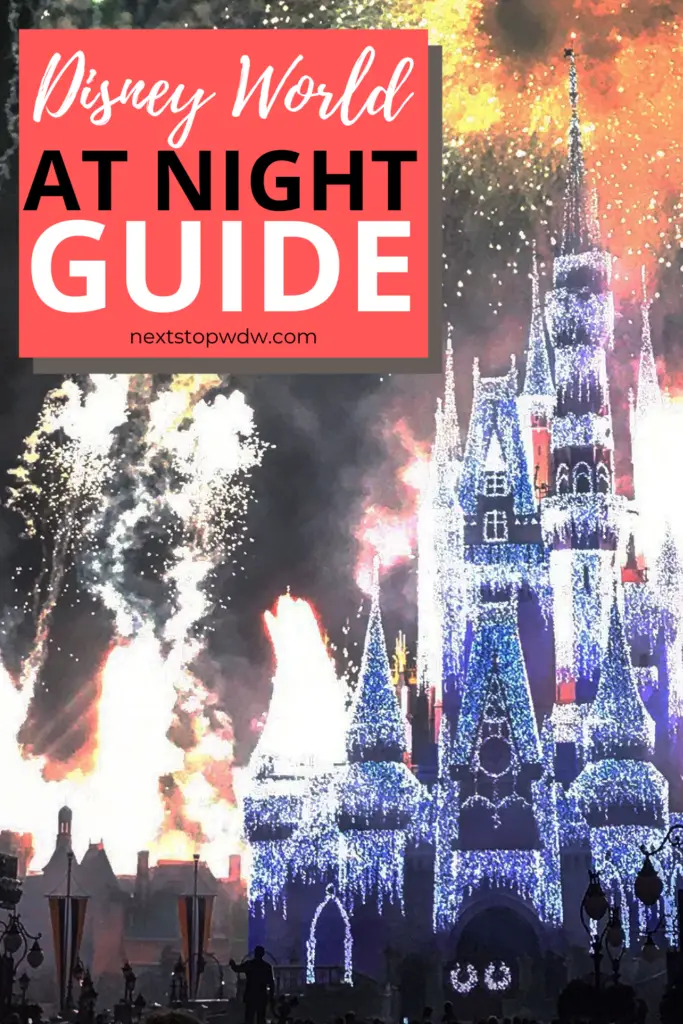 Disney World at Night Pin Image