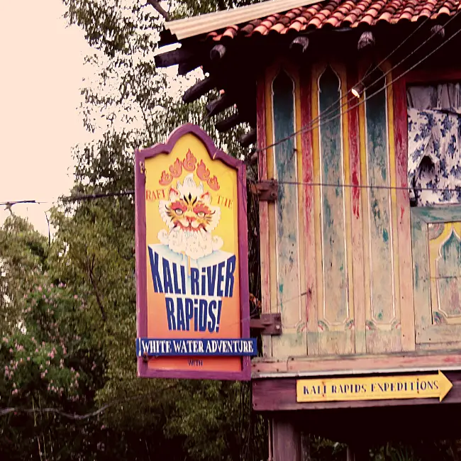 A poncho will come in handy for the Kali River Rapids at Animal Kingdom