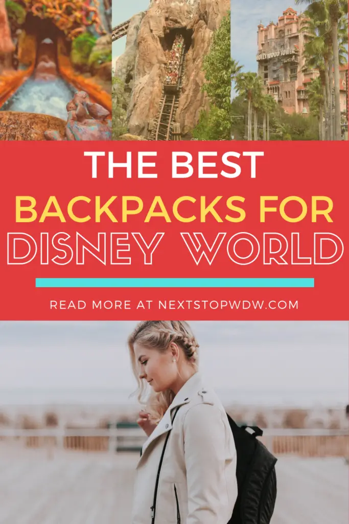 The Best Bag for Disney World Pin