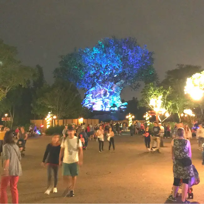 The Tree of Life in Animal Kingdom at night