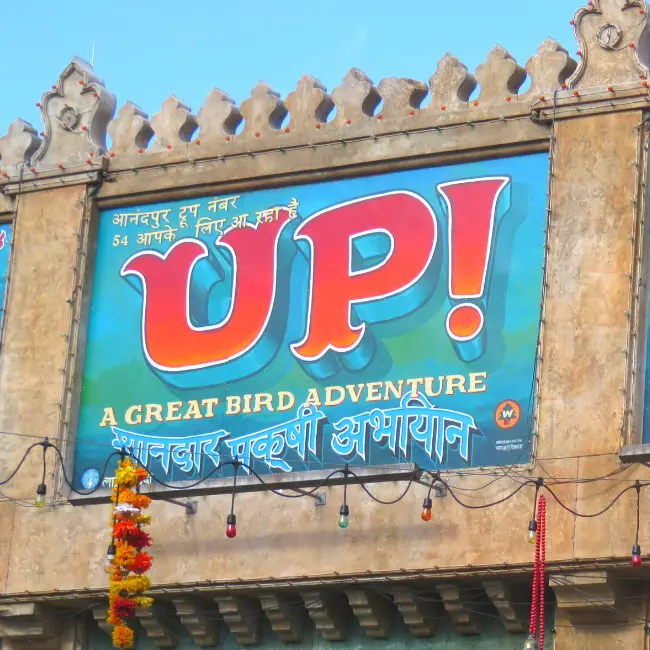 UP! A Great Bird Adventure