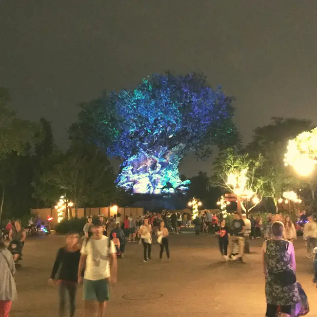 The Tree of Life Awakens in the evening
