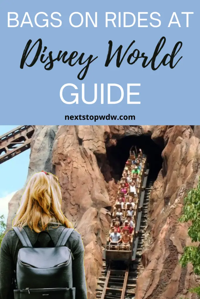 Can You Bring Bags on Rides at Disney World Pin Image