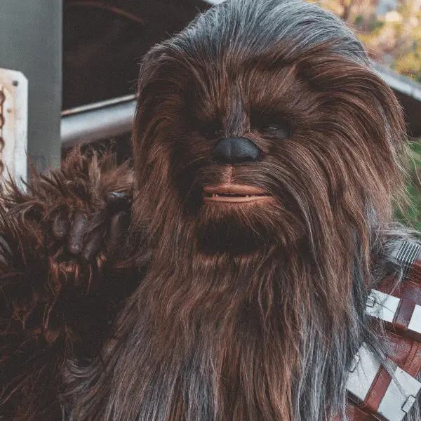 Chewbacca at Star Wars Galaxy's Edge 