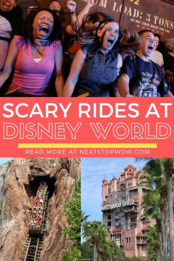 Scary Rides at Disney World Pin Image