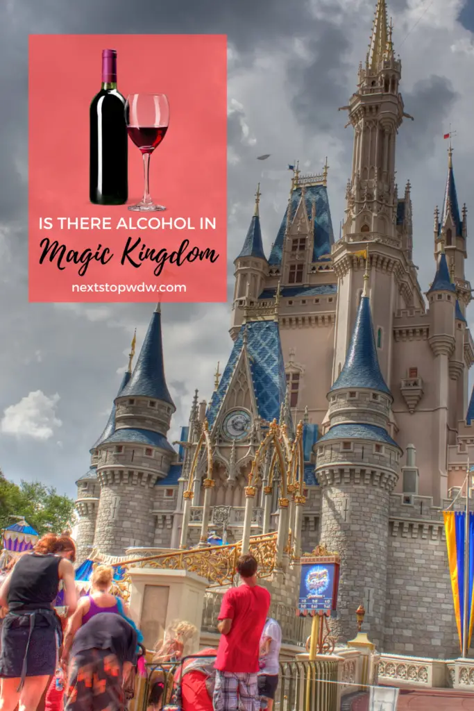 Alcohol in Magic Kingdom Pin Image