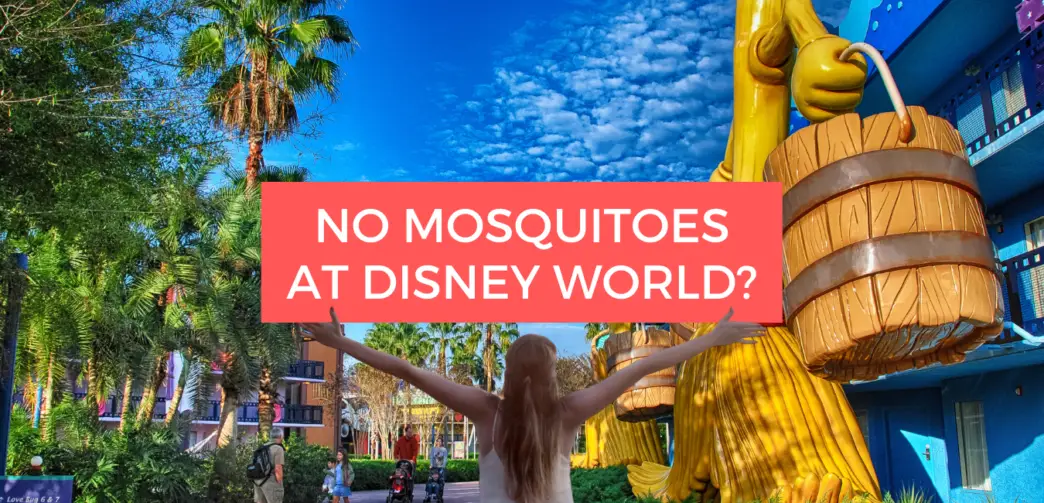 Why Are There No Mosquitoes at Disney World?