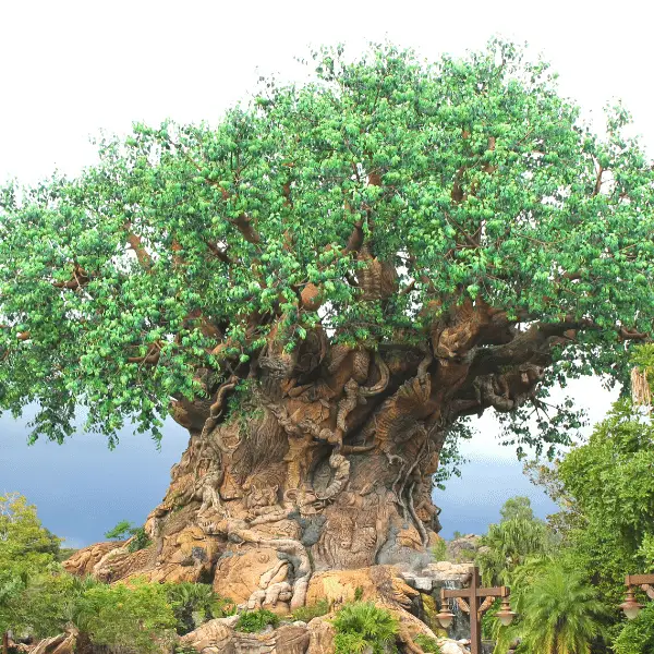 Animal Kingdom - The Tree of life