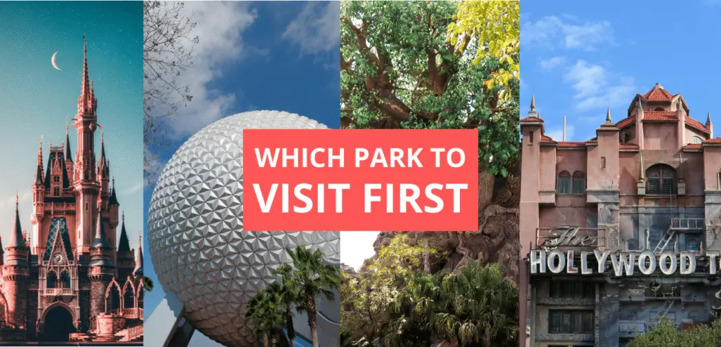 Which Park Should I Go to First at Disney World