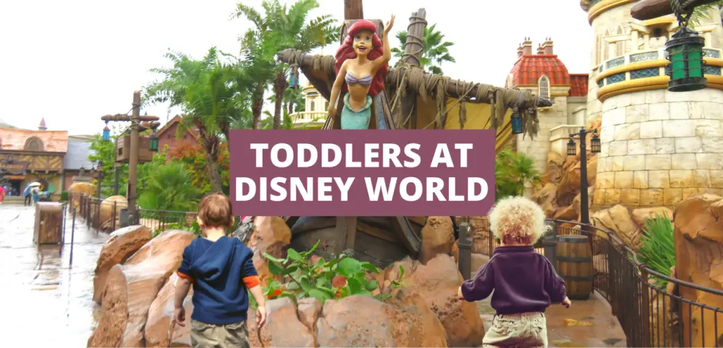 Toddlers at Disney World