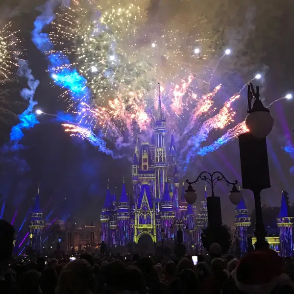 The fireworks at magic Kingdom are spectacular