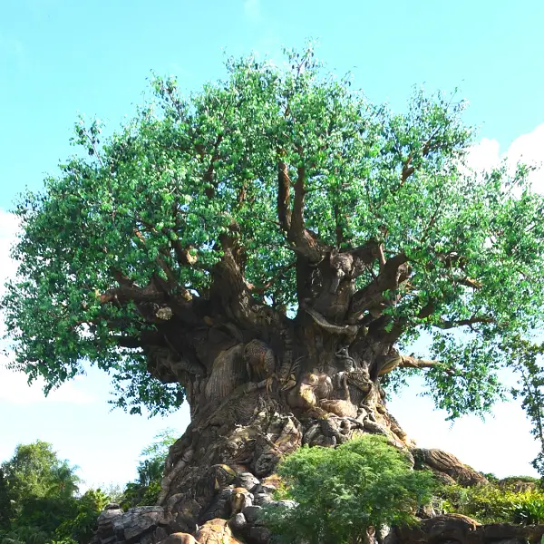 Is Animal Kingdom Worth It? Discover All the Facts for Your Vacation - Next  Stop WDW