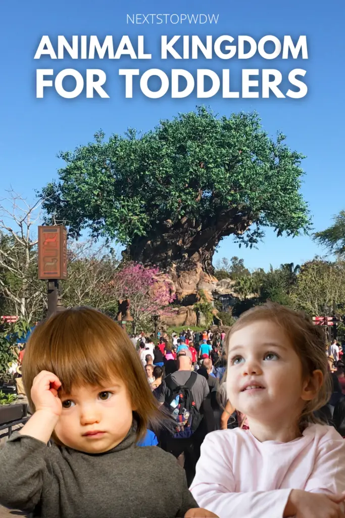 Animal Kingdom for Toddlers Pin image