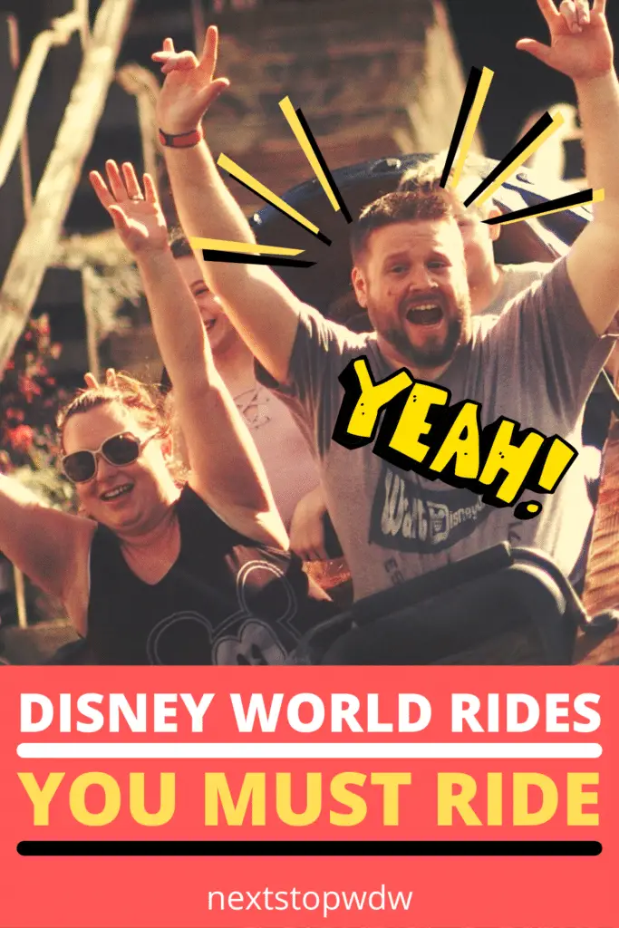 Disney World Rides 2022 Pin