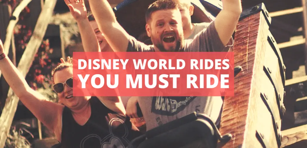 Disney World Rides 2022
