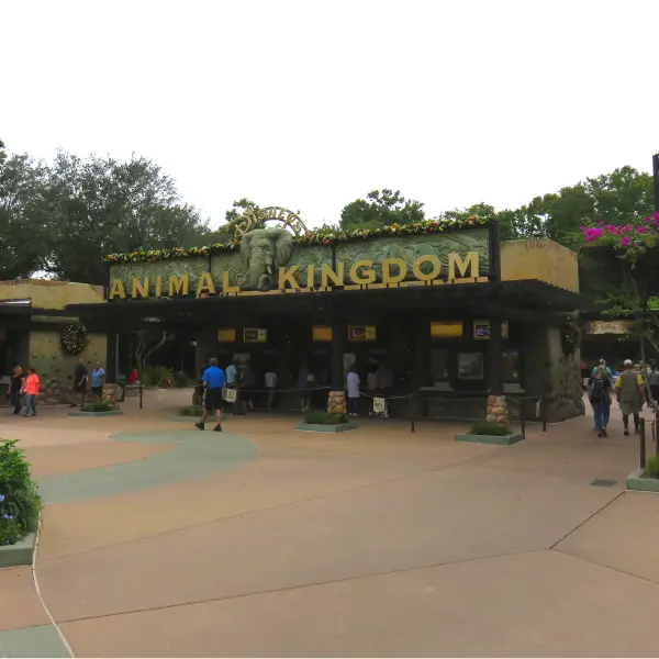 Animal Kingdom Entrance