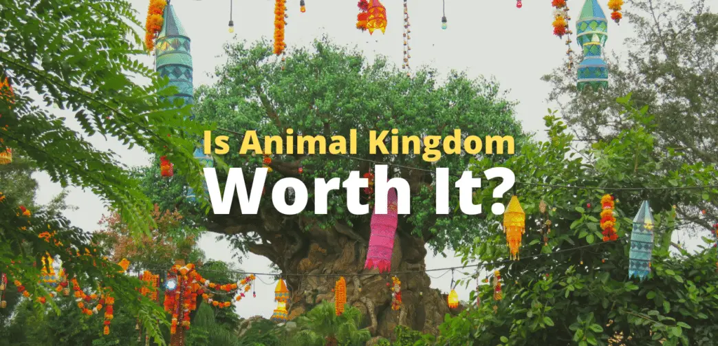 Is Animal Kingdom Worth it