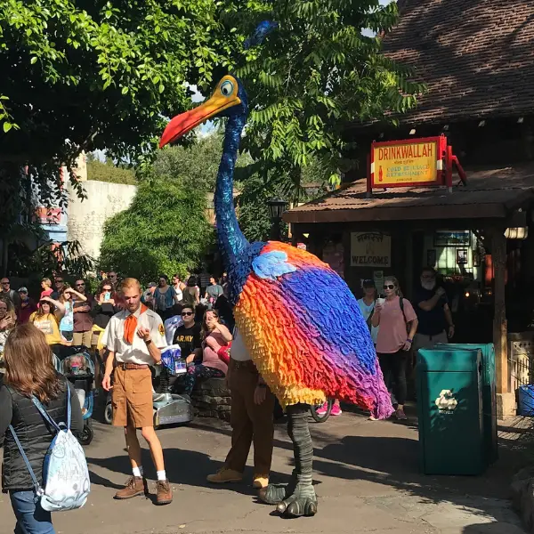 Kevin from Up is a great character to see and meet at Animal Kingdom.