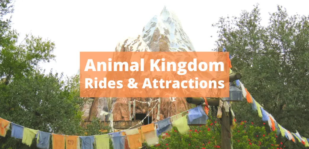 Animal Kingdom Rides & Attractions