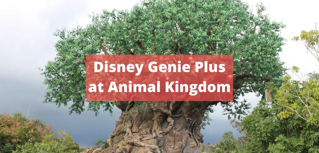 Disney Genie Plus at Animal Kingdom