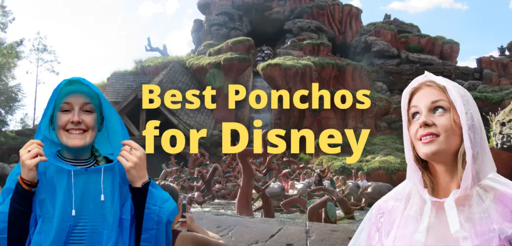 Best Poncho For Disney World