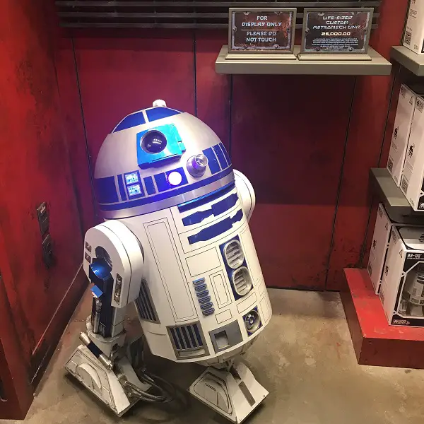 Best Disney World Souvenirs - Star Wars Droids