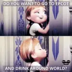 22 Best Funny Disney World Memes for True Pros - Next Stop WDW