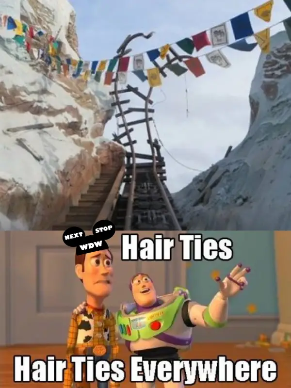 Expedition Everest Hair Ties meme