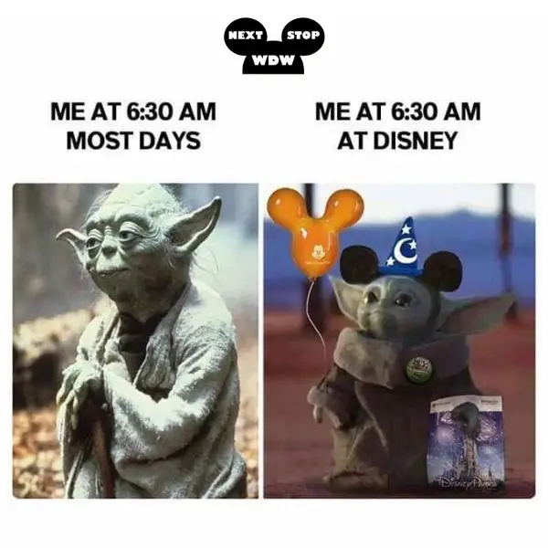 Yoda Disney World Fun meme