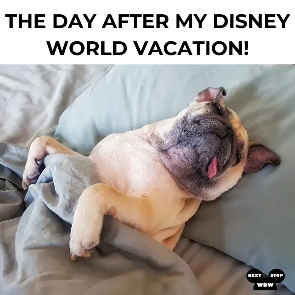 Recovering From Disney World