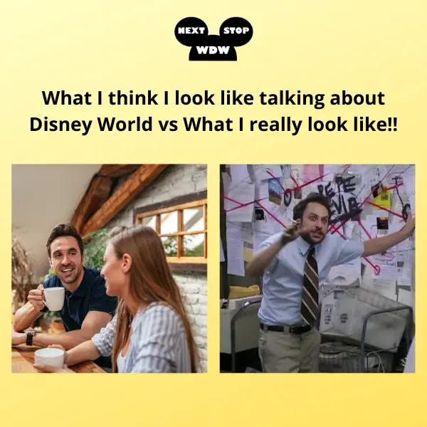 A Meme for the Serious Disney World Planners and Fans