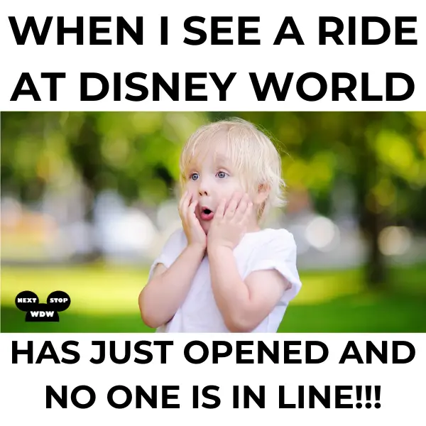  Disney World rides meme