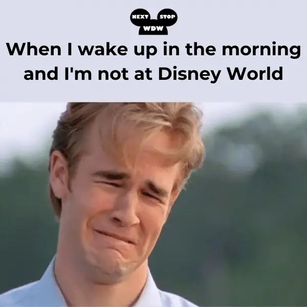Not being at Disney World