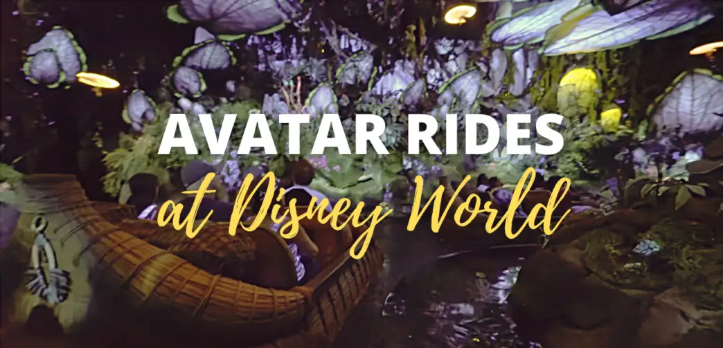 Avatar Ride at Disney World